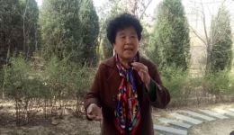 四进士