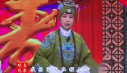 保定老调经典《潘杨讼》在线观看与下载，张婵娟精彩演绎，重温忠奸对决的戏曲传奇