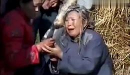 活埋亲家母