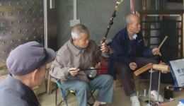 桂剧经典《打金枝》在线观看下载,广西地方戏曲名剧,传承非遗文化 桂剧经典《打金枝》在线观看下载,广西地方戏曲名剧,传承非遗文化