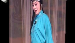 蒲剧经典《烟花泪》在线观看任跟心、雷俊生倾情演绎凄美爱情故事下载