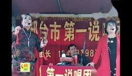 吴天保征西