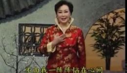 经典扬剧《刮刮叫》标清完整资源下载，李开敏杨国彬等主演，地道扬剧韵味下载