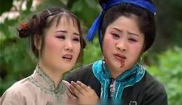 苦菜花3