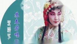玉蜻蜓-游庵认母