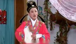 苦菜花1