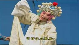 白蛇传-断桥