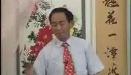 五梅七枪反唐传