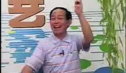 五梅七枪反唐传