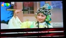 游庵定情