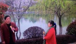 夫妻恩爱结同心