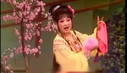 扬剧《花为媒》3-_标清资源下载，经典戏曲全剧呈现下载