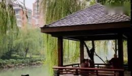 罗英访贤