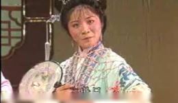 双玉蝉