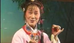 双玉蝉