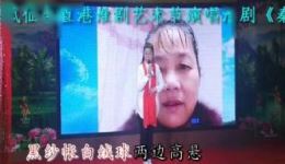 淮剧《秦雪梅吊孝》选段下载|经典悲情唱段,沉浸式感受凄美爱情 淮剧《秦雪梅吊孝》选段下载|经典悲情唱段,沉浸式感受凄美爱情