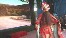 淮调《武家坡》高清完整资源下载,薛平贵王宝钏经典演绎 淮调《武家坡》高清完整资源下载,薛平贵王宝钏经典演绎
