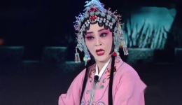 双错遗恨
