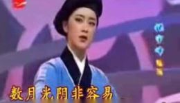 越剧十一流派联唱完整版下载尹吕范傅徐等经典流派唱段汇聚下载