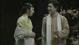 越剧《梅林重逢》高清下载｜梅芬觉新经典唱段，重温青梅竹马的动人故事下载