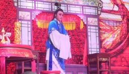 越剧《孔雀东南飞》第八场《雀亡》俞芳李敏霞主演，经典唱段在线下载下载