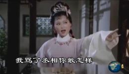 龙女 横行霸道的黄丞相