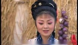 荞麦记