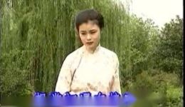 罗汉钱