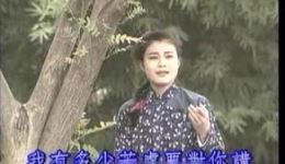 沪剧经典片段《盼星星盼月亮》在线下载，许帼华筱爱琴沈仁伟原声演绎，重温旧上海深情故事下载