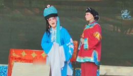 荆州花鼓戏《泪洒相思地》主演赵庆兰,经典悲情大戏在线下载! 荆州花鼓戏《泪洒相思地》主演赵庆兰,经典悲情大戏在线下载!