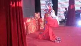 黄梅戏《女驸马》陶年容菊仙主演，经典古装戏曲高清资源下载