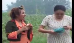 梨园春民间小调《和憨妮拉呱》在线观看，幽默搞笑戏曲资源下载