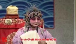 豫剧经典《陈三两》章兰主演,才女坎坷命运全本下载 豫剧经典《陈三两》章兰主演,才女坎坷命运全本下载