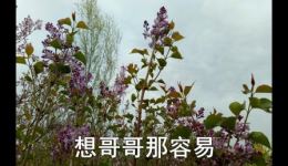 打伙计难