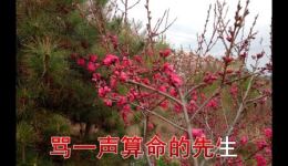 尼姑思凡