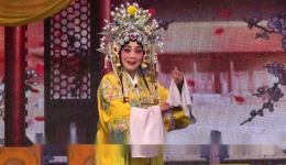 晋剧《打金枝》选段下载｜程俊娥郭小红主演 山西省朝华晋剧院经典演绎