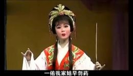 存忠情