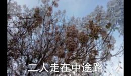 二人台《俏媳妇回娘家》纯伴奏下载，升调版资源，免费高品质音频