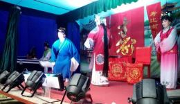 扬剧《珍珠塔》羞姑高清下载|经典剧目资源,速领! 扬剧《珍珠塔》羞姑高清下载|经典剧目资源,速领!