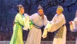 扬剧《崔金莲》中集带字幕下载,陶琪主演扬州市陶琪扬仪征剧院演出资源 扬剧《崔金莲》中集带字幕下载,陶琪主演扬州市陶琪扬仪征剧院演出资源