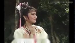 探郎君