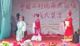 皖南花鼓戏《送凤冠》高清下载｜熊艳等主演经典戏曲资源下载