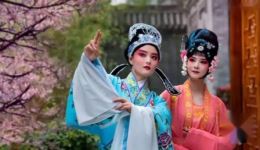 莆仙戏《英台山伯》化蝶恋高清资源下载，经典梁祝故事，凄美爱情戏曲全本