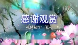 罗汉钱