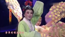 蝴蝶恋歌