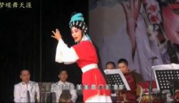 雷剧《皇帝寻妹》选段 林丽花演唱 悲情皇室故事在线畅听
