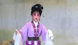 织锦记 百日缘