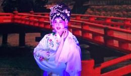 荆州花鼓戏《哑女告状》选段鼓打初更 肖琼林白向成蔡军民主演 非遗戏曲在线欣赏下载