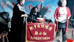 河南坠子《王华买爹》部分郑小红演唱，经典民间故事戏曲下载下载