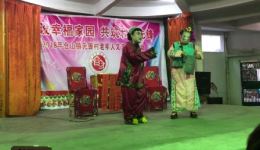 傻女婿拜寿